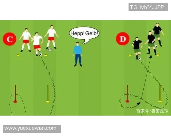 足球球星的日常训练方法揭秘提升技术与体能的科学训练策略